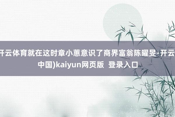 开云体育就在这时章小蕙意识了商界富翁陈曜旻-开云(中国)kaiyun网页版  登录入口
