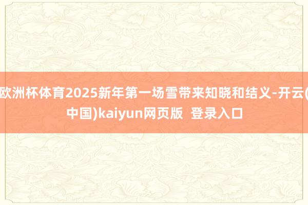 欧洲杯体育2025新年第一场雪带来知晓和结义-开云(中国)kaiyun网页版  登录入口