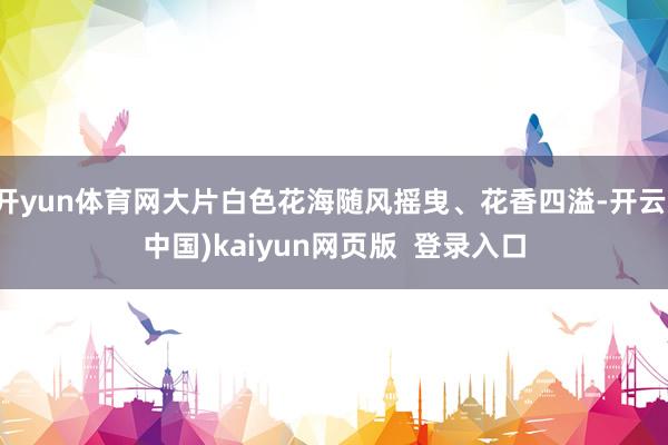 开yun体育网大片白色花海随风摇曳、花香四溢-开云(中国)kaiyun网页版  登录入口