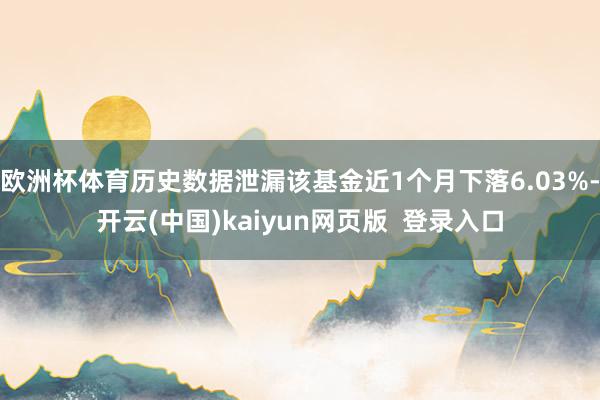 欧洲杯体育历史数据泄漏该基金近1个月下落6.03%-开云(中国)kaiyun网页版  登录入口