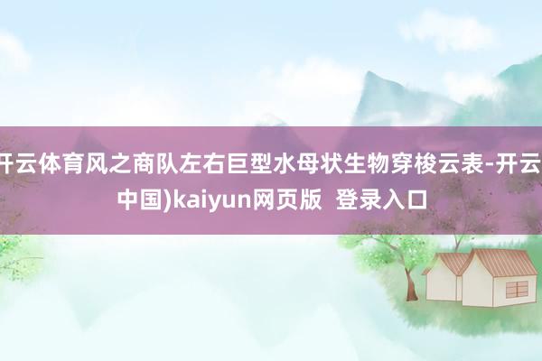 开云体育风之商队左右巨型水母状生物穿梭云表-开云(中国)kaiyun网页版  登录入口