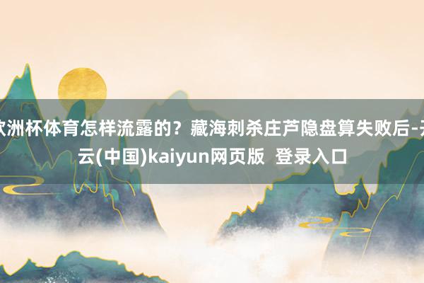 欧洲杯体育怎样流露的？藏海刺杀庄芦隐盘算失败后-开云(中国)kaiyun网页版  登录入口