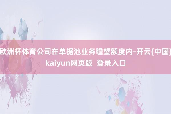 欧洲杯体育公司在单据池业务瞻望额度内-开云(中国)kaiyun网页版  登录入口
