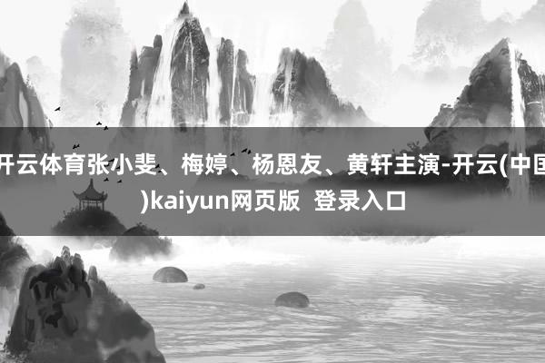 开云体育张小斐、梅婷、杨恩友、黄轩主演-开云(中国)kaiyun网页版  登录入口