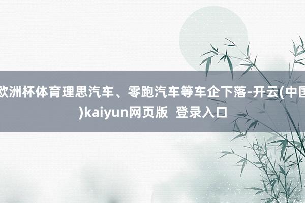 欧洲杯体育理思汽车、零跑汽车等车企下落-开云(中国)kaiyun网页版  登录入口