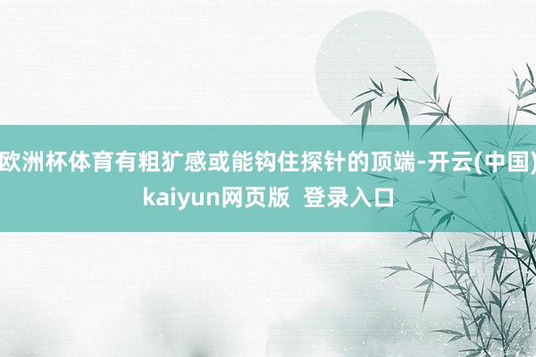 欧洲杯体育有粗犷感或能钩住探针的顶端-开云(中国)kaiyun网页版  登录入口