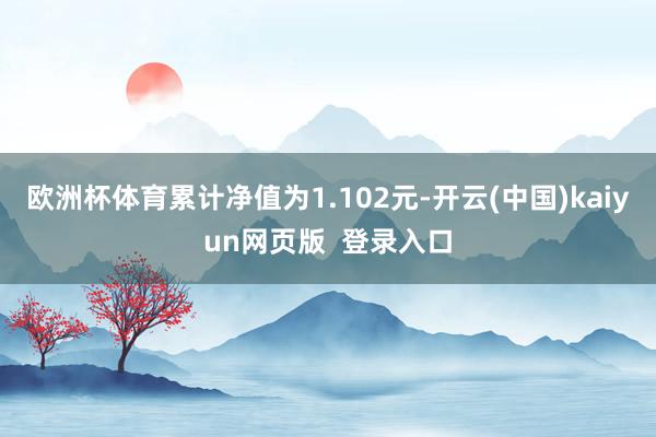 欧洲杯体育累计净值为1.102元-开云(中国)kaiyun网页版  登录入口