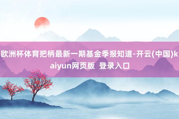 欧洲杯体育把柄最新一期基金季报知道-开云(中国)kaiyun网页版  登录入口