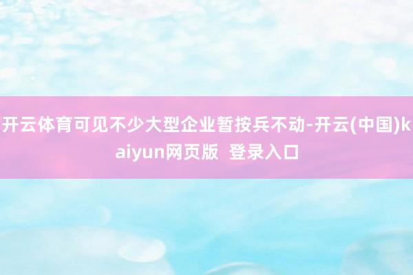 开云体育可见不少大型企业暂按兵不动-开云(中国)kaiyun网页版  登录入口