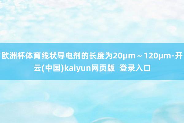 欧洲杯体育线状导电剂的长度为20μm～120μm-开云(中国)kaiyun网页版  登录入口